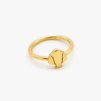 Anello Pumo Piatto - Oro